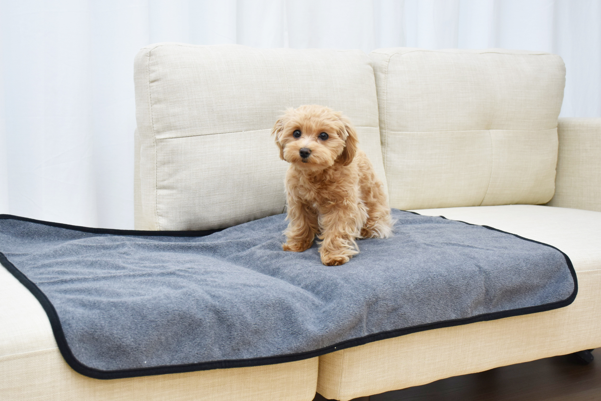 パイル生地 抗菌防臭 タオル 素材 綿100% 低刺激 肌に優しい