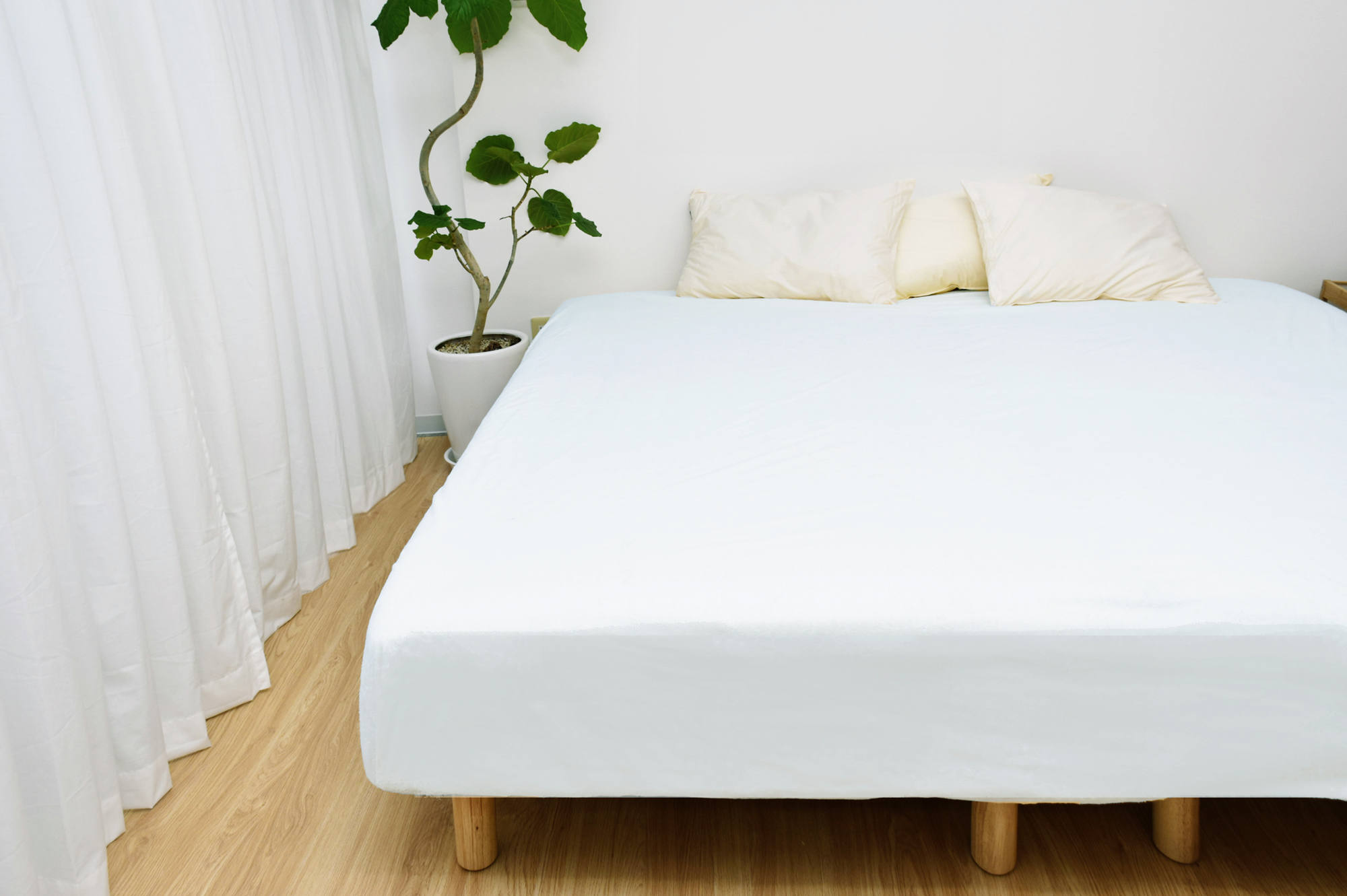 パイル生地 抗菌防臭 タオル 素材 綿100% 低刺激 肌に優しい