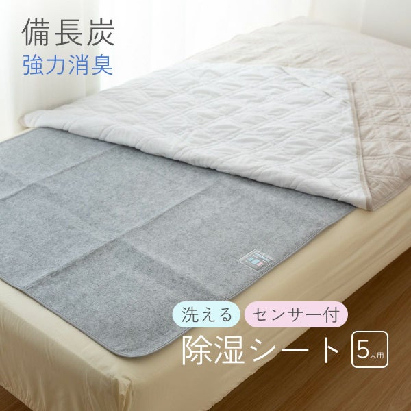 備長炭入り 洗える除湿シート 5人用 ダブル2枚セット 吸湿マット 湿気取りシート 除湿マット 調湿マット 結露防止シート 梅雨対策