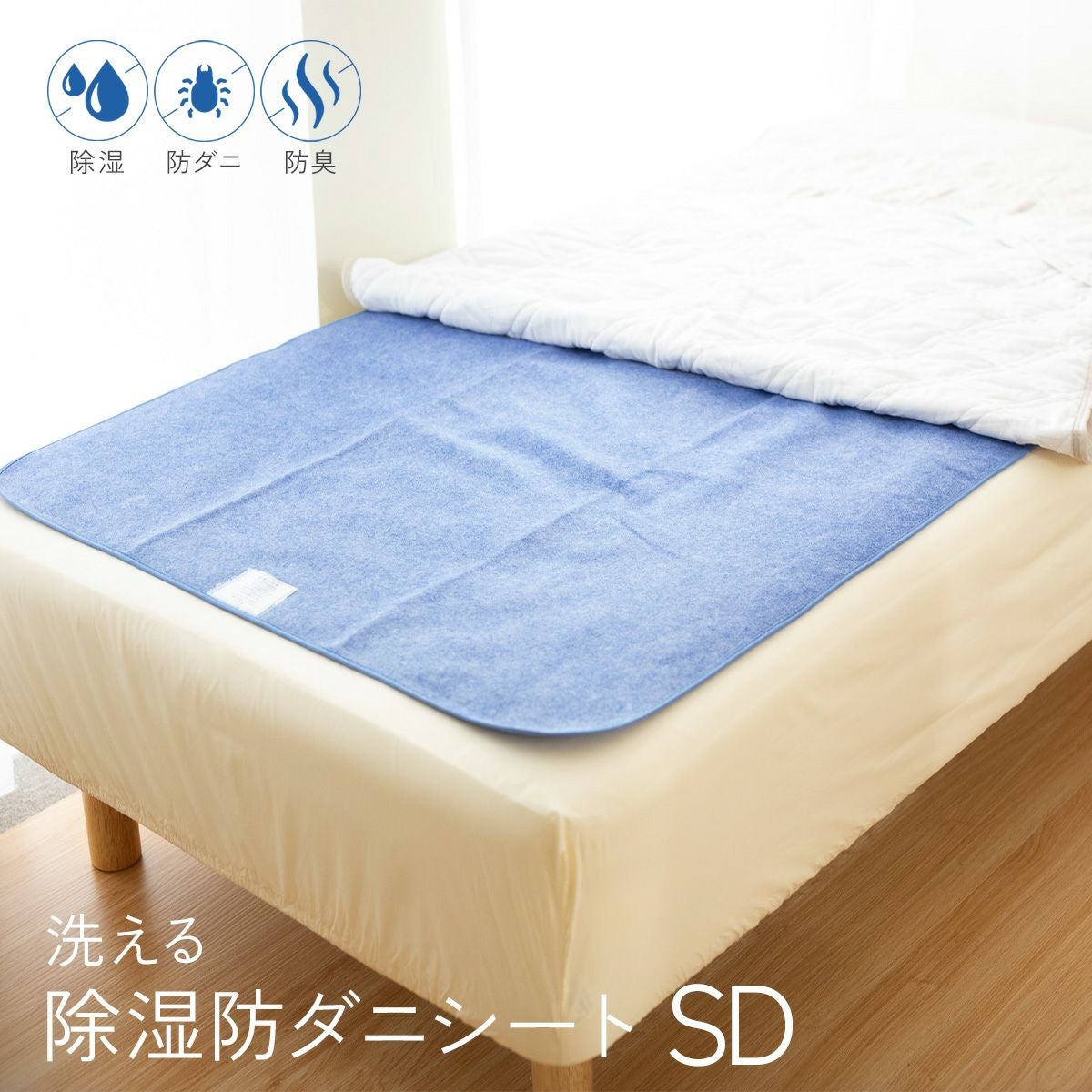 000000001906-01.jpg?size=m&w=