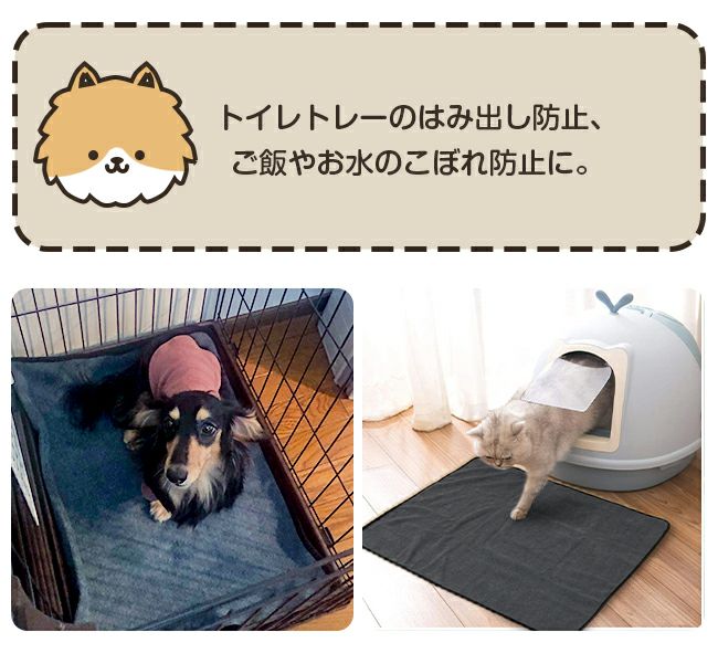 000000001946-09.jpg?size=l&w=