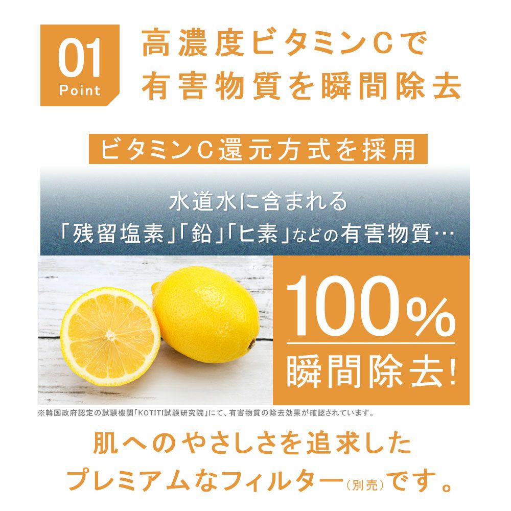 万博・韓国館展示 マルチフィルターシャワーヘッド セット ビタミンC