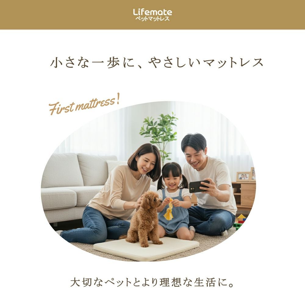 防水ペットマットレス /60×90cm M-Lサイズ 犬 猫 防水 ペットマット