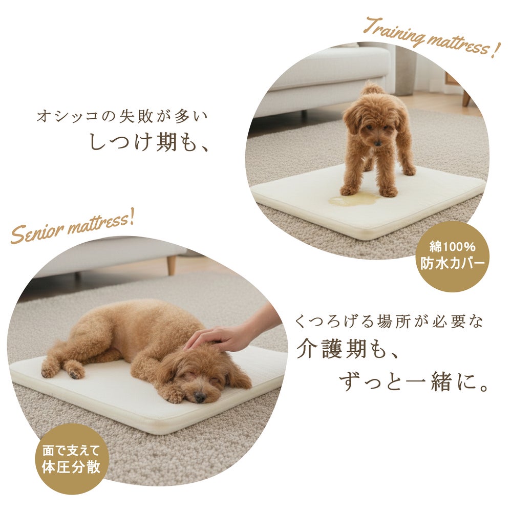 防水ペットマットレス /60×90cm M-Lサイズ 犬 猫 防水 ペットマット