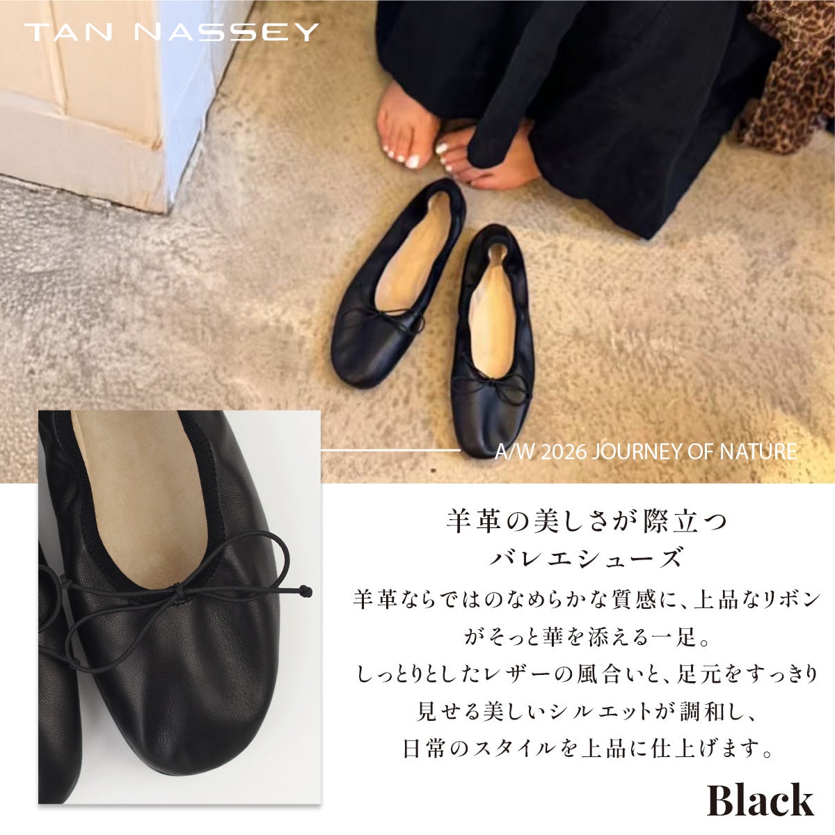 バレエシューズ 本革 羊革 シープ スエード フラットヒール ローヒール TAN NASSEY レディース 痛くない 履きやすい 歩きやすい やわらかい 丸みのトゥ おしゃれ カジュアル 通勤 仕事 レザーシューズ レザー タンナッシー